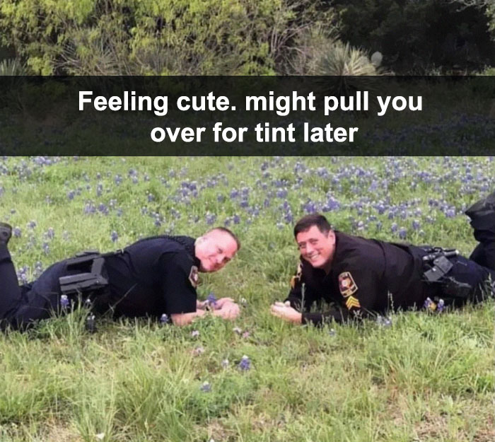 30 Hilarious Responses To #FeelingCute Challenge 30 Hilarious Responses To #FeelingCute Challenge