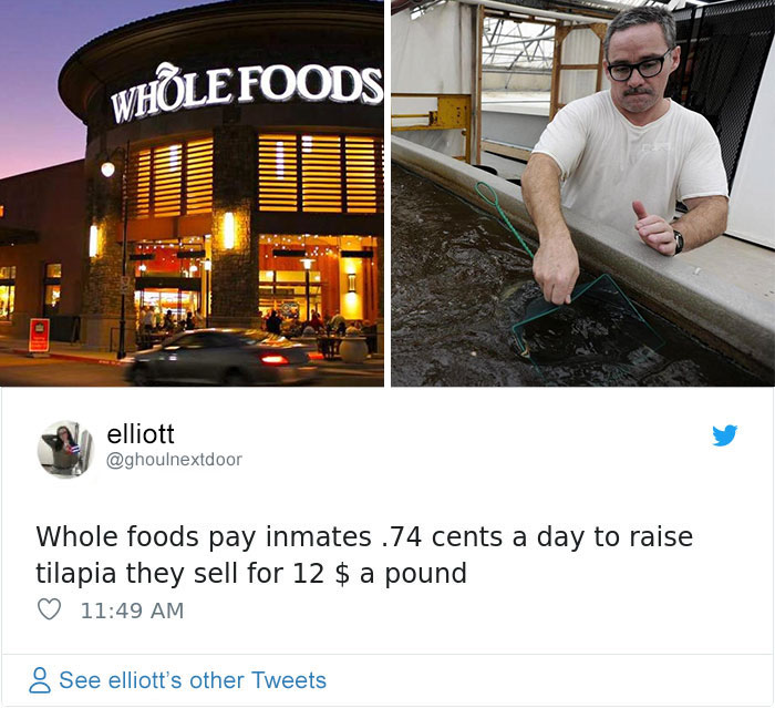 Student Claims That An Exception In The 13th Amendment Still Permits Slavery If You’re Convicted, Posts Brutal Examples Student Claims That An Exception In The 13th Amendment Still Permits Slavery If You’re Convicted, Posts Brutal Examples