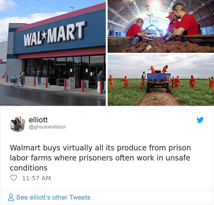 Student Claims That An Exception In The 13th Amendment Still Permits Slavery If You’re Convicted, Posts Brutal Examples Student Claims That An Exception In The 13th Amendment Still Permits Slavery If You’re Convicted, Posts Brutal Examples