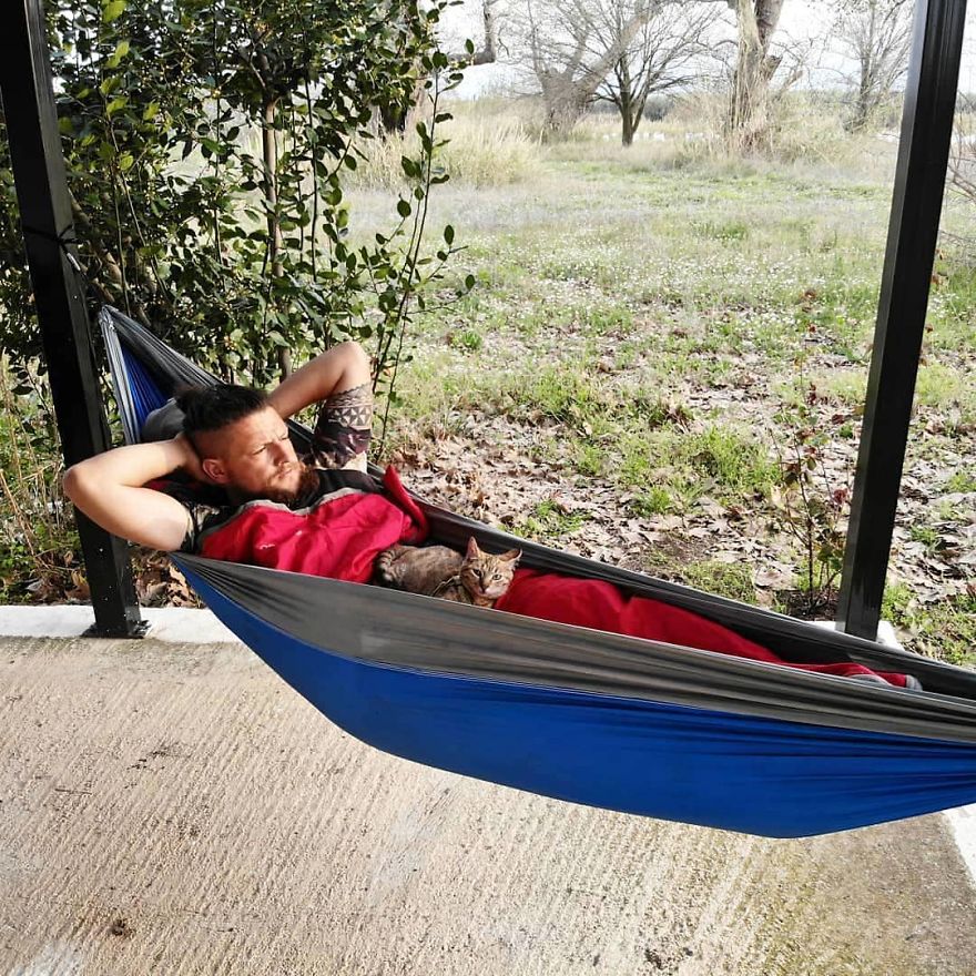 Scottish Man Decides To Cycle Across The Globe Solo But Finds A Stray Cat Which Accompanies Him Scottish Man Decides To Cycle Across The Globe Solo But Finds A Stray Cat Which Accompanies Him