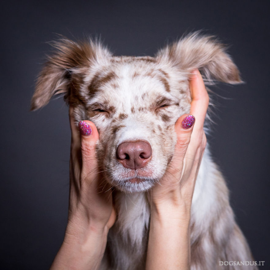We Capture The Emotions Dogs Express With Their Faces (24 Pics)