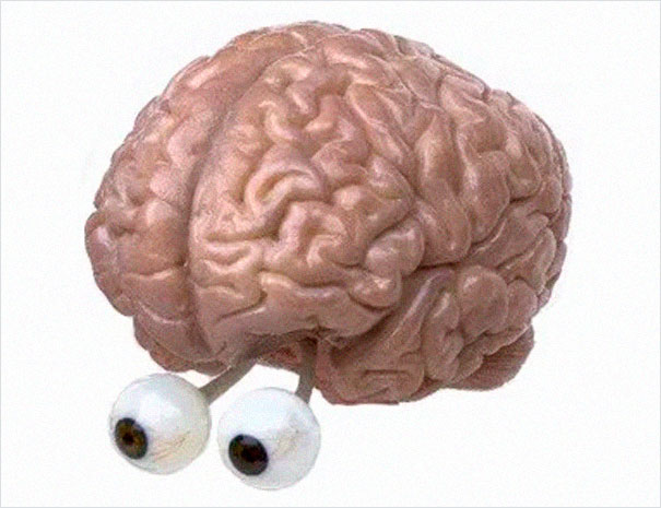 Artist Points Out The Mistakes Beginner Artists Make Because They Draw With Their Brain, Not Their Eyes Artist Points Out The Mistakes Beginner Artists Make Because They Draw With Their Brain, Not Their Eyes