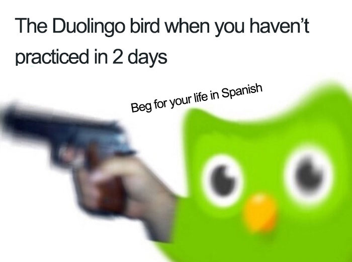 30 Hilarious Duolingo Memes 30 Hilarious Duolingo Memes