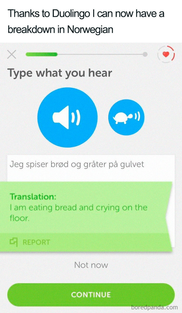 30 Hilarious Duolingo Memes 30 Hilarious Duolingo Memes