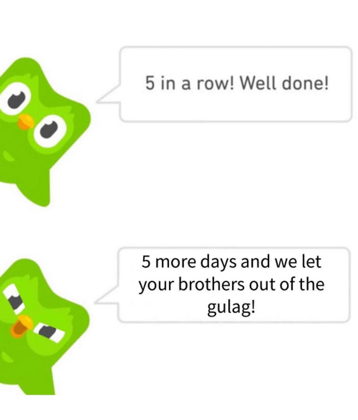 30 Hilarious Duolingo Memes 30 Hilarious Duolingo Memes