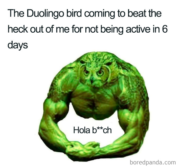 30 Hilarious Duolingo Memes 30 Hilarious Duolingo Memes