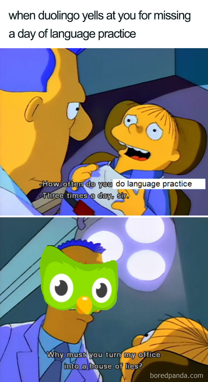 30 Hilarious Duolingo Memes 30 Hilarious Duolingo Memes