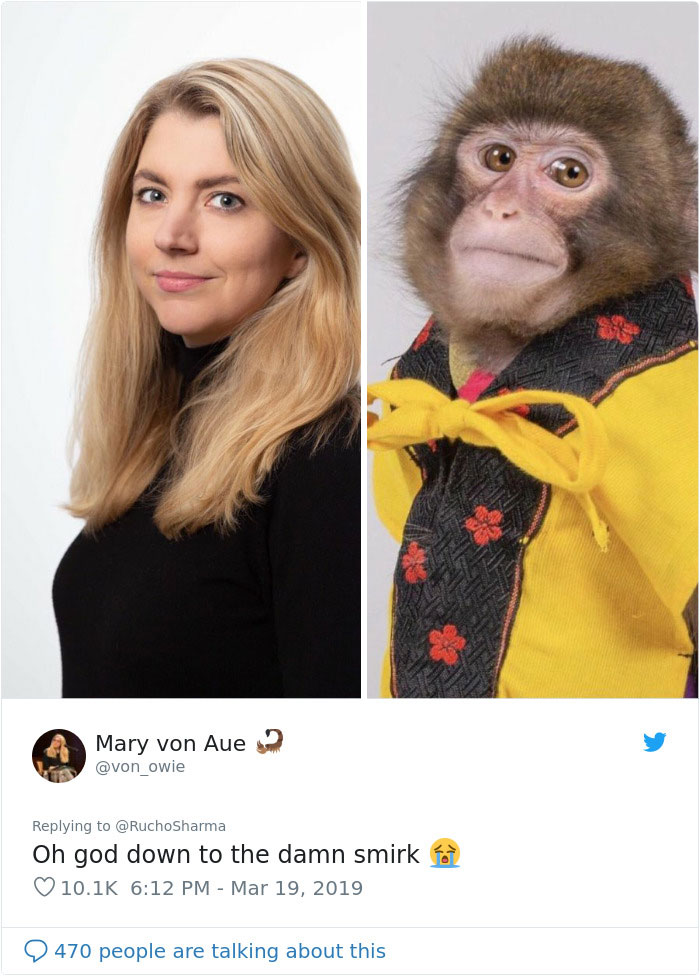 Someone Realizes This Monkey Looks Like Every Journalist And Real Journalists Confirm With 24 Pics Someone Realizes This Monkey Looks Like Every Journalist And Real Journalists Confirm With 24 Pics