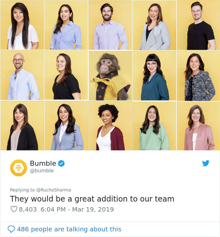 Someone Realizes This Monkey Looks Like Every Journalist And Real Journalists Confirm With 24 Pics Someone Realizes This Monkey Looks Like Every Journalist And Real Journalists Confirm With 24 Pics