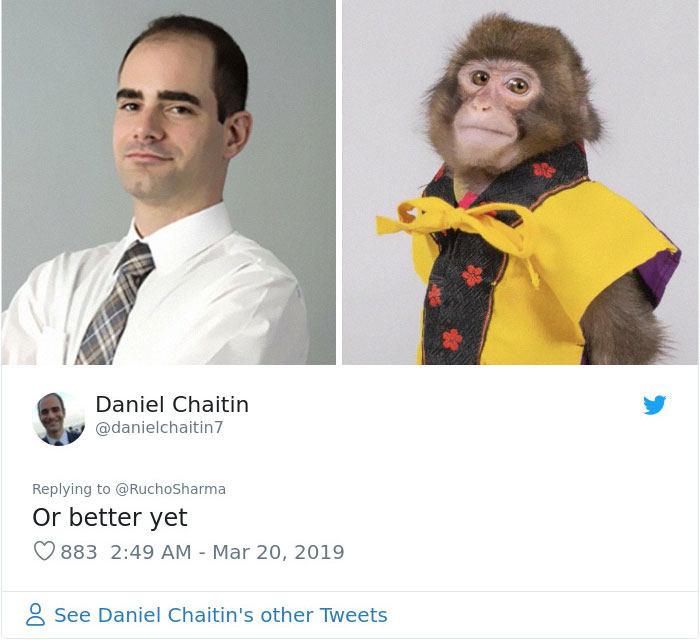 Someone Realizes This Monkey Looks Like Every Journalist And Real Journalists Confirm With 24 Pics Someone Realizes This Monkey Looks Like Every Journalist And Real Journalists Confirm With 24 Pics