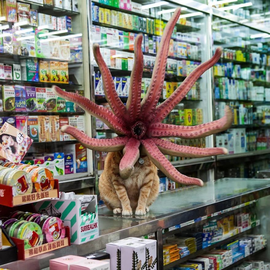 Tommy Fung’s Surreal Hong Kong Tommy Fung’s Surreal Hong Kong