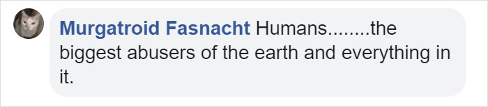 Artist Creates Incredible Optical Illusion At The Louvre So It Could Be Destroyed In A Couple Of Days Artist Creates Incredible Optical Illusion At The Louvre So It Could Be Destroyed In A Couple Of Days