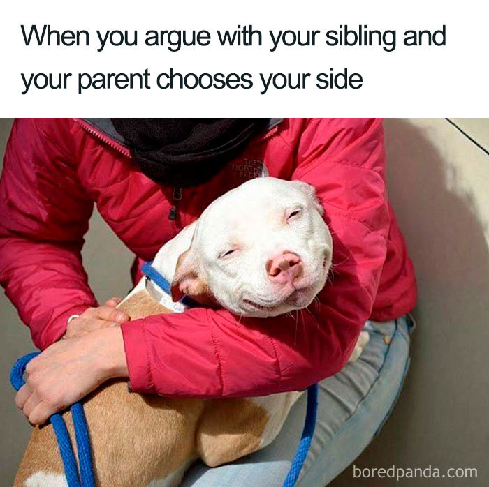 30 Of The Best Sibling Memes Ever 30 Of The Best Sibling Memes Ever