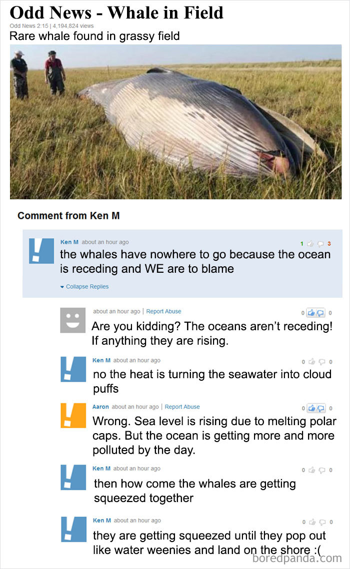 30 Hilarious Intentionally Stupid Comments By Ken M