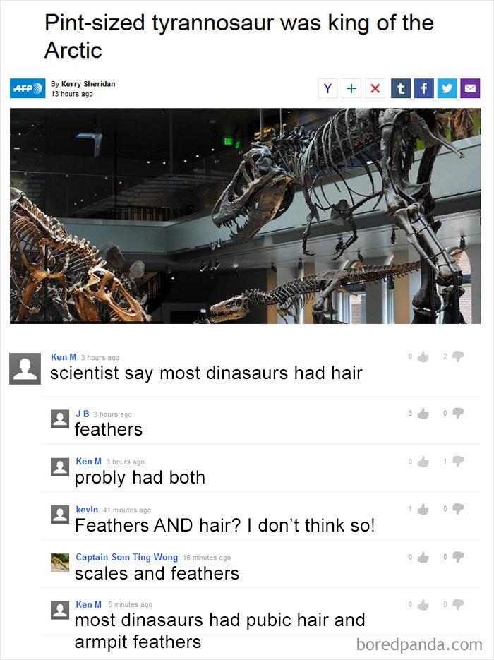 30 Hilarious Intentionally Stupid Comments By Ken M
