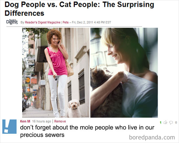 30 Hilarious Intentionally Stupid Comments By Ken M