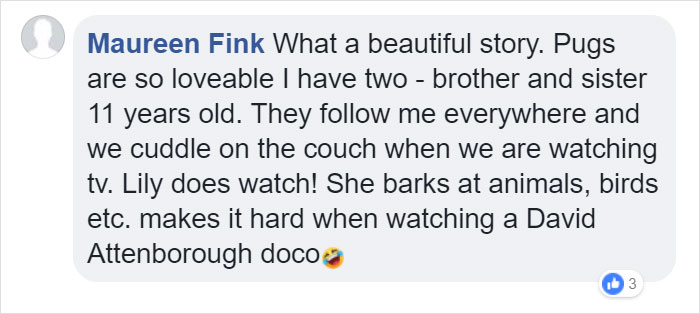 This Dog Has Separation Anxiety And Can’t Sleep Without His Human, So The Owner Bought Him A Mannequin This Dog Has Separation Anxiety And Can’t Sleep Without His Human, So The Owner Bought Him A Mannequin