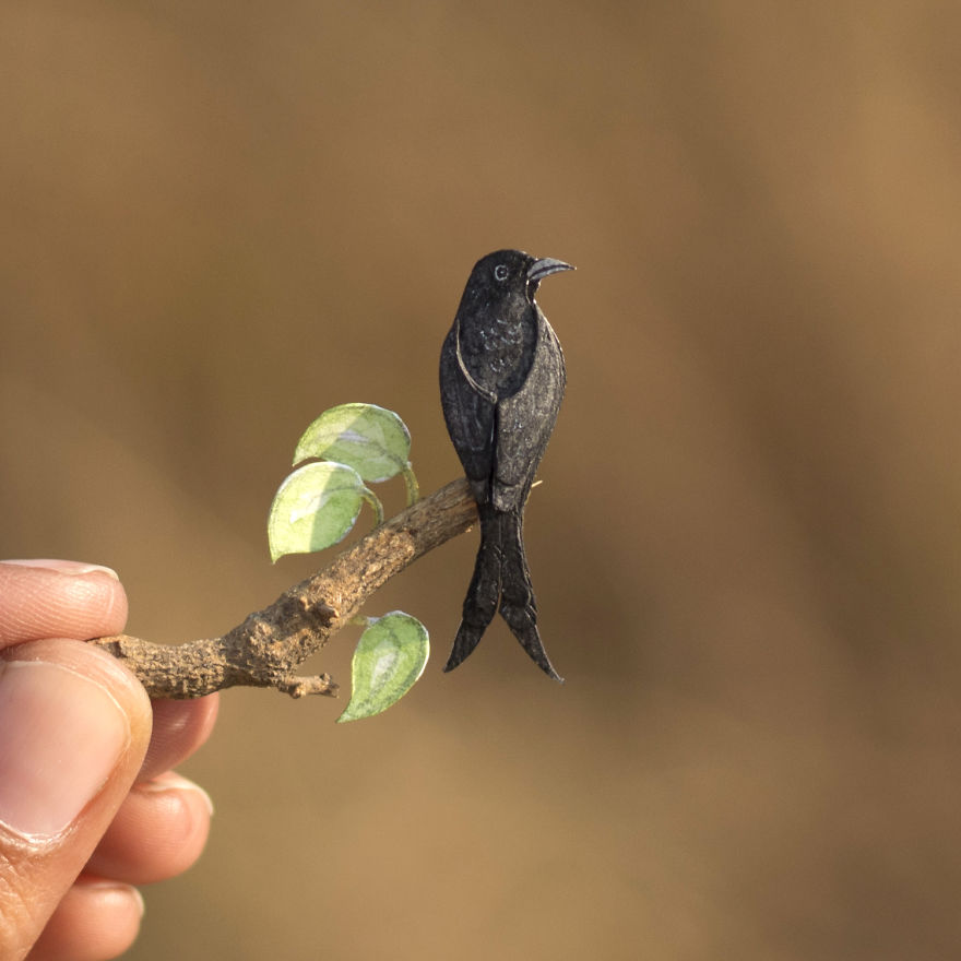 We&#8217;ve Been Creating Miniature Paper Birds Every Day For An Entire Year