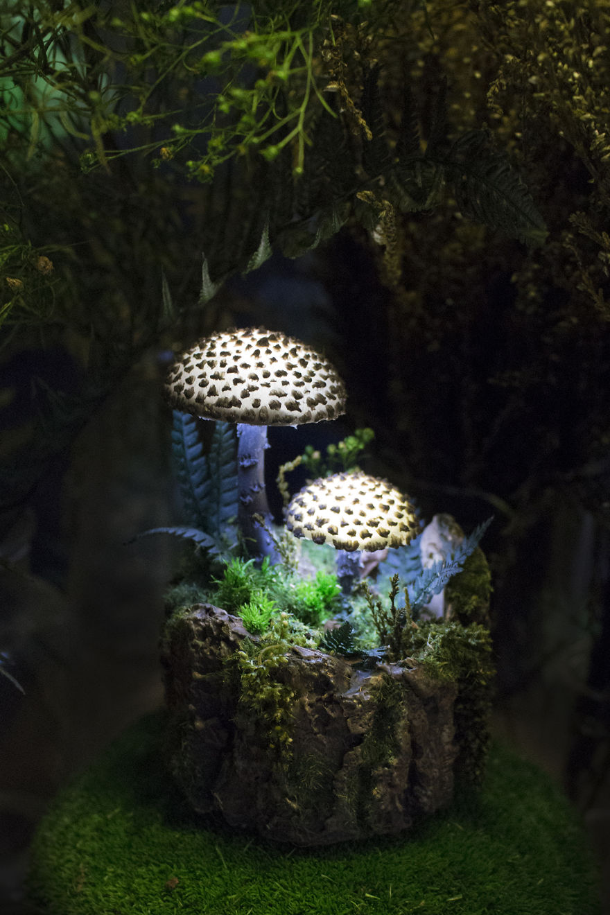 Glowing Mushrooms Made Of Pure Magic Glowing Mushrooms Made Of Pure Magic