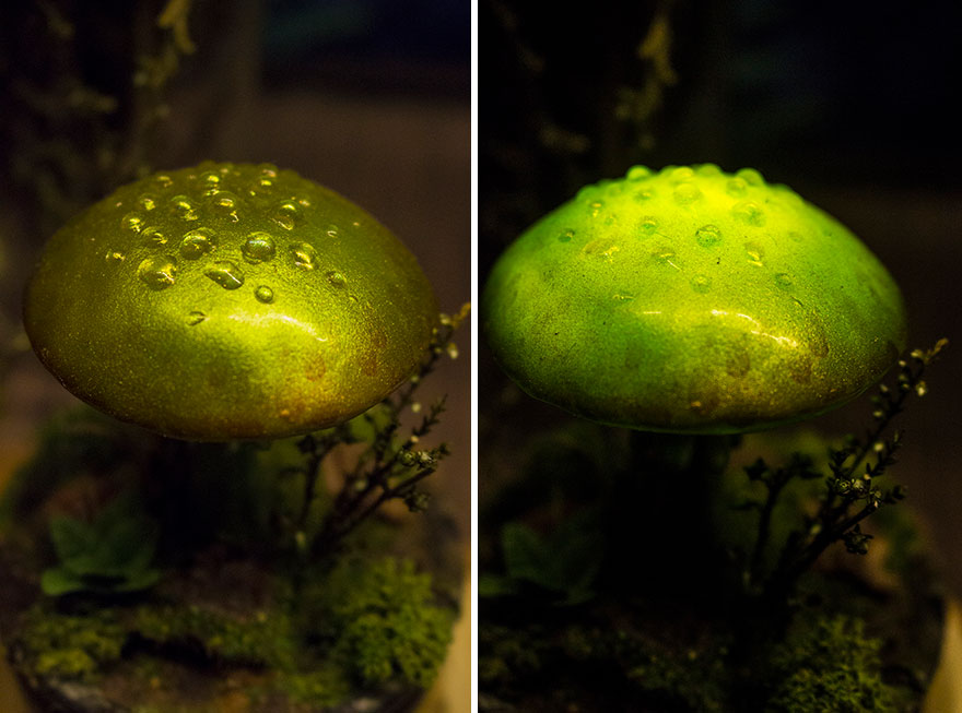 Glowing Mushrooms Made Of Pure Magic Glowing Mushrooms Made Of Pure Magic