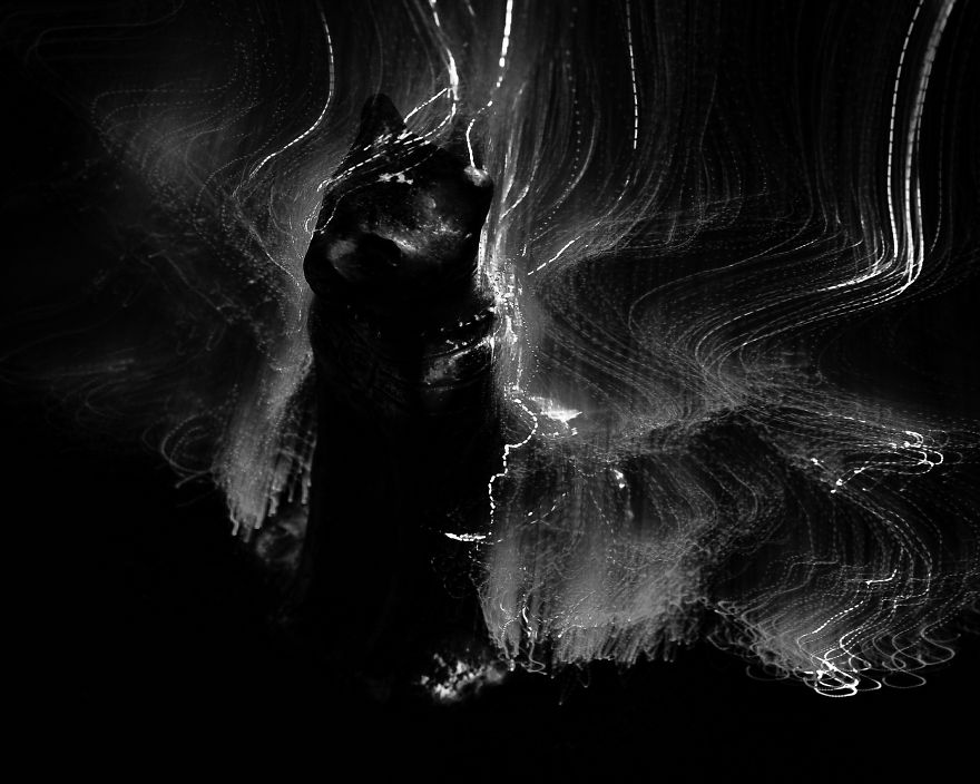 I Create Abstract Images With Long Exposure Photography I Create Abstract Images With Long Exposure Photography