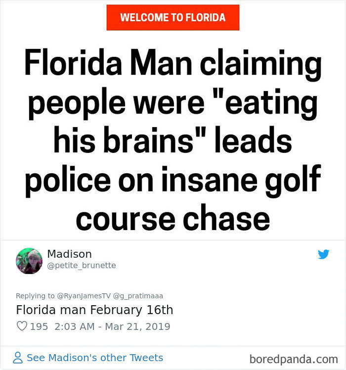 Someone Challenges People To Google ‘Florida Man’ Plus Their Birthday, Here Are 30 Hilarious Responses Someone Challenges People To Google ‘Florida Man’ Plus Their Birthday, Here Are 30 Hilarious Responses