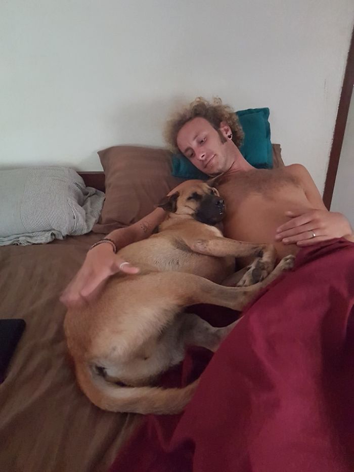 People Are Posting Rescue Dog Stories In Response To This Viral Post About An Abandoned Dog (30 Stories) People Are Posting Rescue Dog Stories In Response To This Viral Post About An Abandoned Dog (30 Stories)