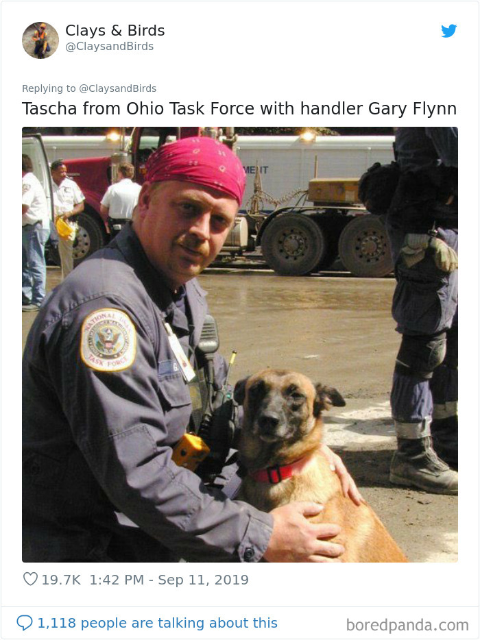 Person Honors The Dog Heroes Of 9/11 That Are Often Overlooked In A Beautifully Sad Twitter Thread Person Honors The Dog Heroes Of 9/11 That Are Often Overlooked In A Beautifully Sad Twitter Thread