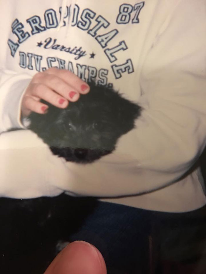 Woman Adopts A Senior Dog Because She Looked Like Her Childhood Puppy, Realizes It’s The Same Dog Woman Adopts A Senior Dog Because She Looked Like Her Childhood Puppy, Realizes It’s The Same Dog