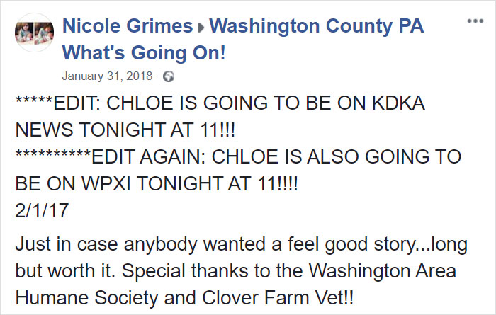 Woman Adopts A Senior Dog Because She Looked Like Her Childhood Puppy, Realizes It’s The Same Dog Woman Adopts A Senior Dog Because She Looked Like Her Childhood Puppy, Realizes It’s The Same Dog