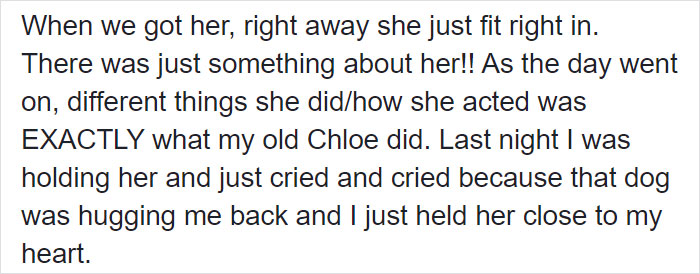 Woman Adopts A Senior Dog Because She Looked Like Her Childhood Puppy, Realizes It’s The Same Dog Woman Adopts A Senior Dog Because She Looked Like Her Childhood Puppy, Realizes It’s The Same Dog