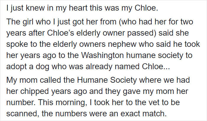 Woman Adopts A Senior Dog Because She Looked Like Her Childhood Puppy, Realizes It’s The Same Dog Woman Adopts A Senior Dog Because She Looked Like Her Childhood Puppy, Realizes It’s The Same Dog