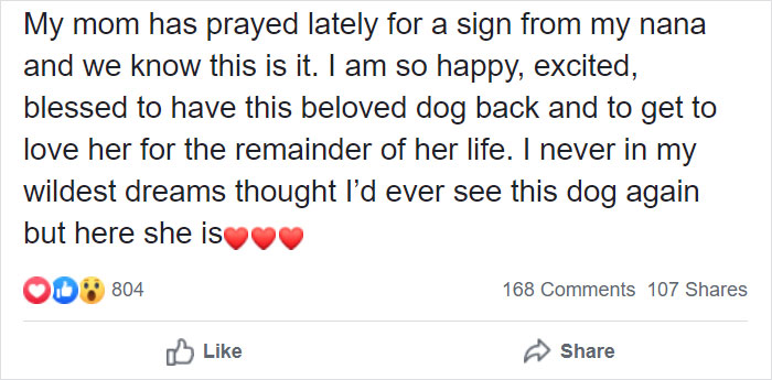 Woman Adopts A Senior Dog Because She Looked Like Her Childhood Puppy, Realizes It’s The Same Dog Woman Adopts A Senior Dog Because She Looked Like Her Childhood Puppy, Realizes It’s The Same Dog