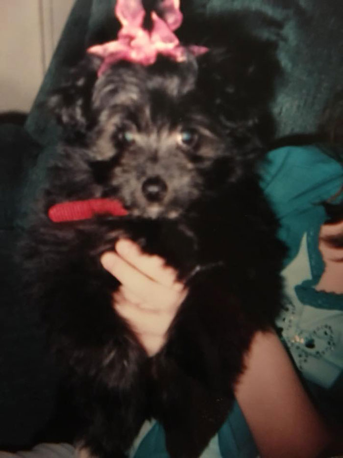 Woman Adopts A Senior Dog Because She Looked Like Her Childhood Puppy, Realizes It’s The Same Dog Woman Adopts A Senior Dog Because She Looked Like Her Childhood Puppy, Realizes It’s The Same Dog