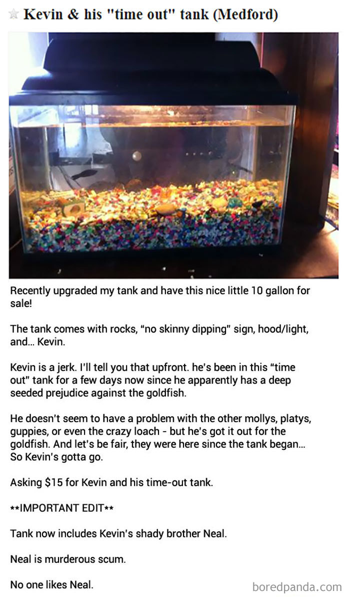 30 Of The Funniest And Strangest Ads Ever Seen On Craigslist 30 Of The Funniest And Strangest Ads Ever Seen On Craigslist