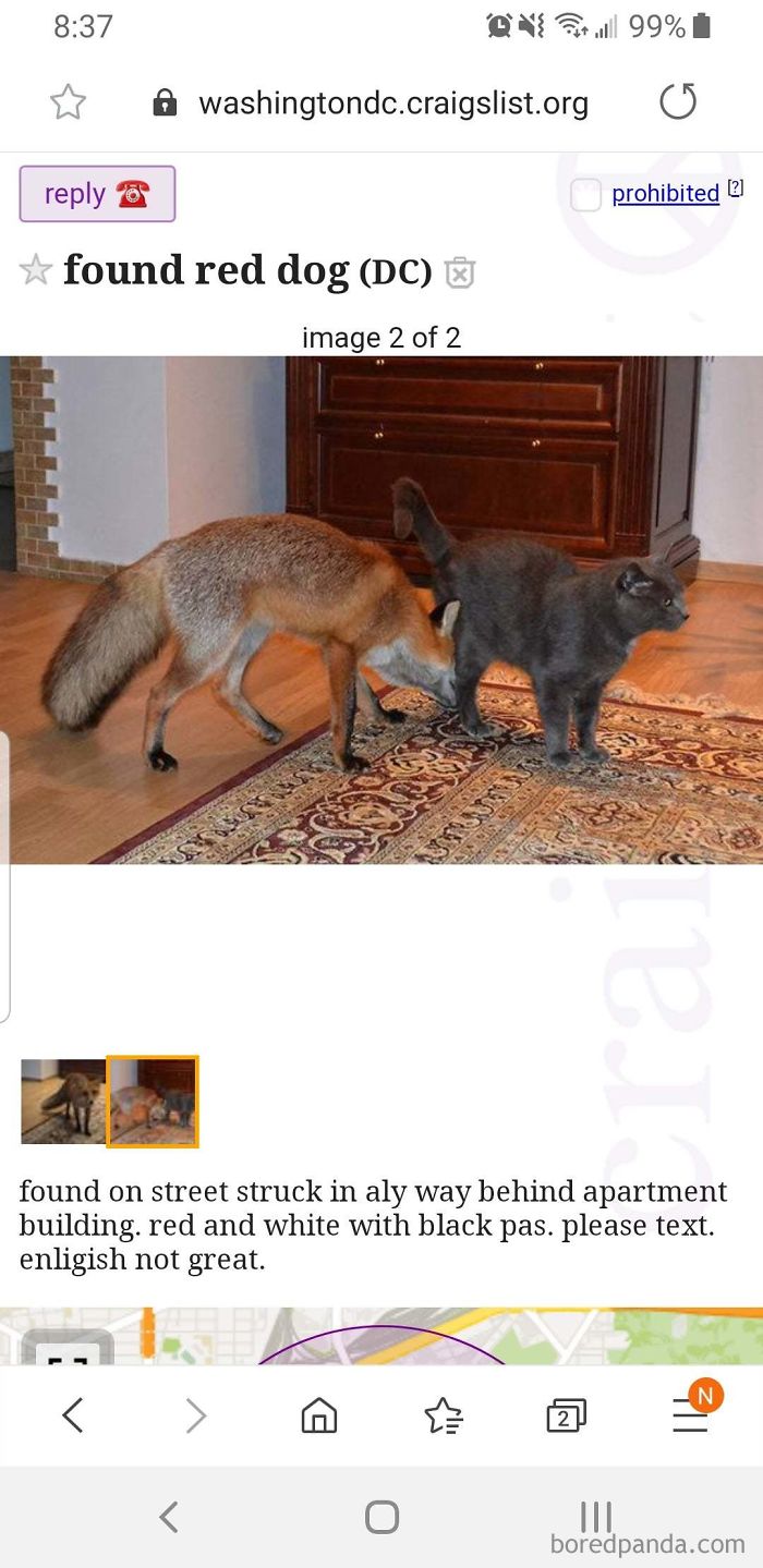 30 Of The Funniest And Strangest Ads Ever Seen On Craigslist 30 Of The Funniest And Strangest Ads Ever Seen On Craigslist