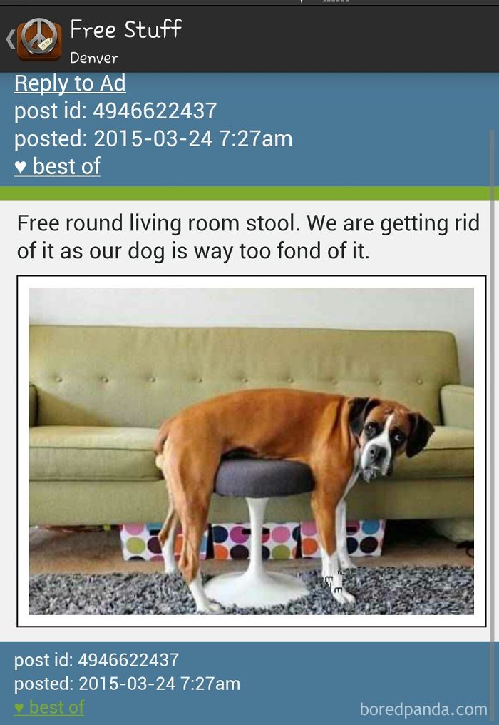 30 Of The Funniest And Strangest Ads Ever Seen On Craigslist 30 Of The Funniest And Strangest Ads Ever Seen On Craigslist
