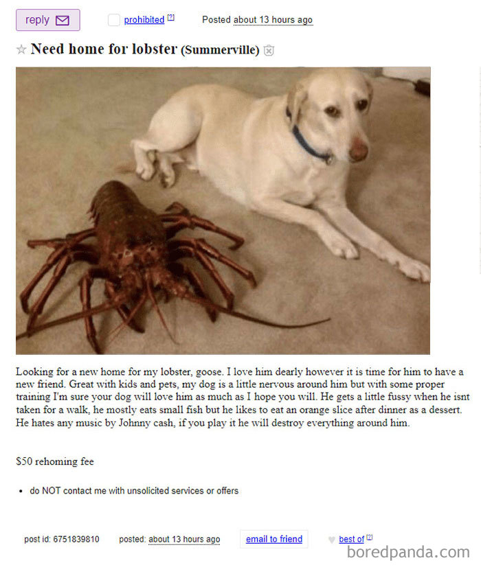 30 Of The Funniest And Strangest Ads Ever Seen On Craigslist 30 Of The Funniest And Strangest Ads Ever Seen On Craigslist
