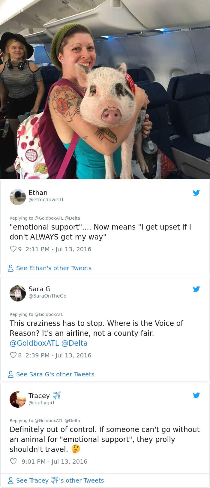 People Are Saying That These People Have Gone Too Far With Their Emotional Support Animals, Others Disagree (17 Pics) People Are Saying That These People Have Gone Too Far With Their Emotional Support Animals, Others Disagree (17 Pics)