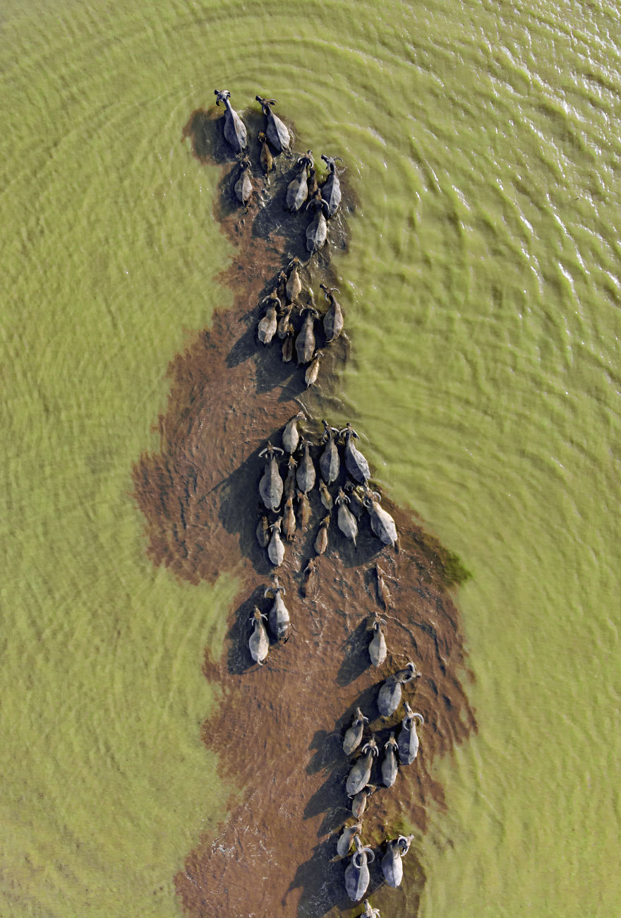 After 9 Months Of Competition And More Than 130,000 Submissions, Here Are The Most Breathtaking Pics Taken This Year (50 Pics) After 9 Months Of Competition And More Than 130,000 Submissions, Here Are The Most Breathtaking Pics Taken This Year (50 Pics)