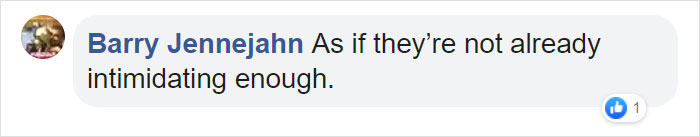 Turns Out, Tigers Have Spots That Look Like Eyes On Their Ears To Confuse Prey