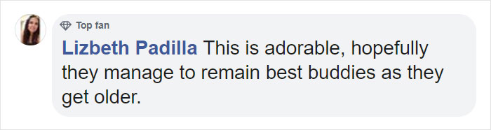 Toddler Best Friends Hug Like They Haven’t Seen Each Other For Years When It’s Actually Just Been 2 Days Toddler Best Friends Hug Like They Haven’t Seen Each Other For Years When It’s Actually Just Been 2 Days