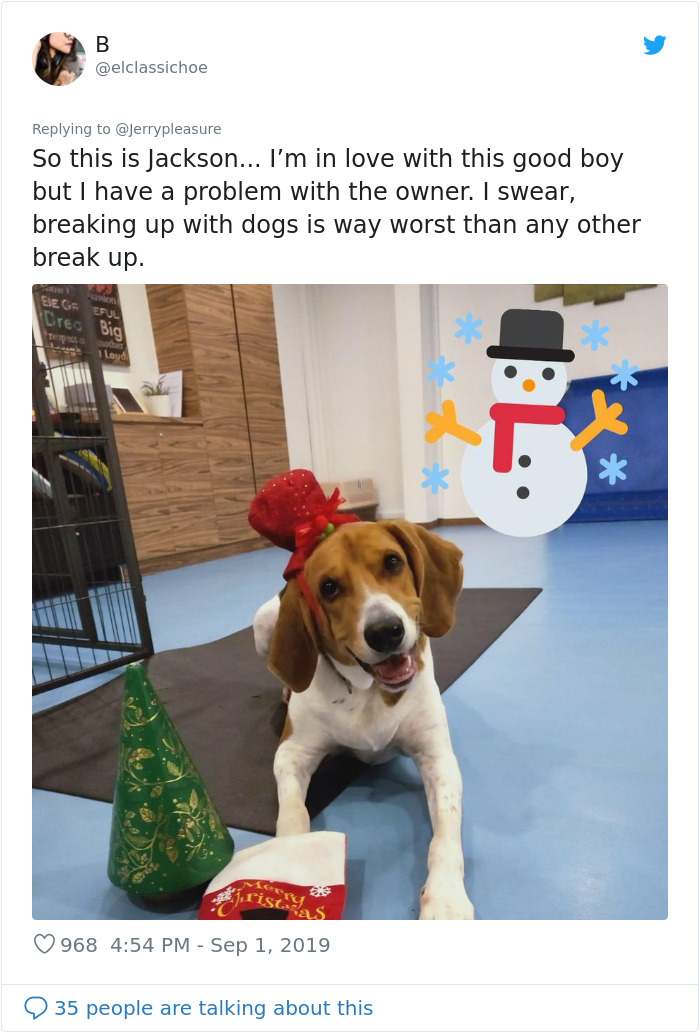 Someone Asked Twitter Users To Share Their Last Dog Pictures And The Responses Are Absolutely Pawsome