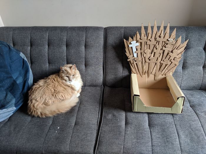 Arthur The Cat Just Got His Own Iron Throne And It’s A Better Ending Than The Season 8 Finale Arthur The Cat Just Got His Own Iron Throne And It’s A Better Ending Than The Season 8 Finale