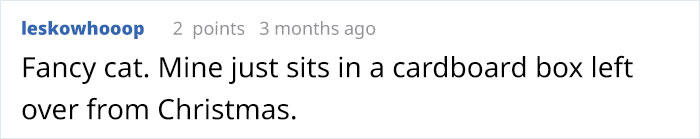 Arthur The Cat Just Got His Own Iron Throne And It’s A Better Ending Than The Season 8 Finale Arthur The Cat Just Got His Own Iron Throne And It’s A Better Ending Than The Season 8 Finale