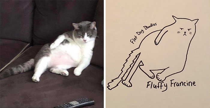 Person Tries Drawing His Dog, Accidentally Starts Creating Masterpieces Person Tries Drawing His Dog, Accidentally Starts Creating Masterpieces