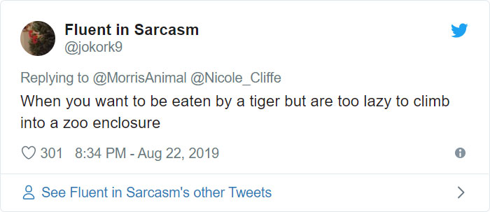 After People Went Crazy Over This 26lb Chonky Cat, He Finally Gets Adopted