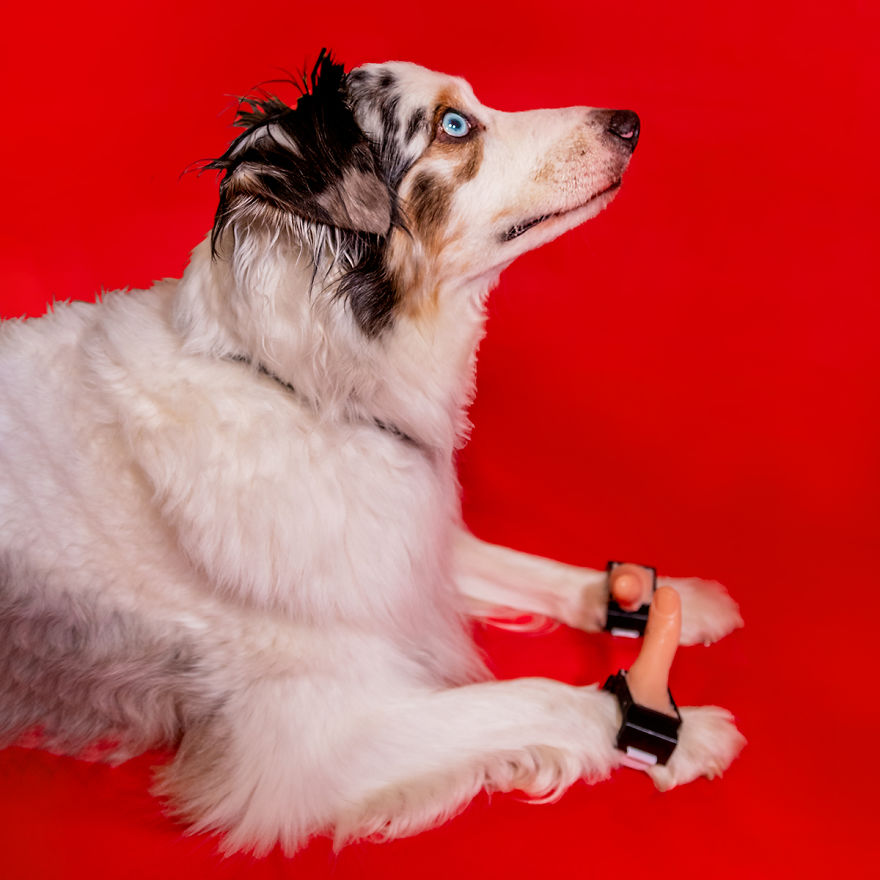 Nobody Asked For These 11 Inventions, But I Created Them Anyway