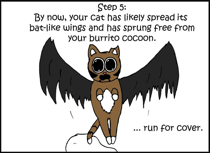 10-Step Guide Goes To Absurd Lengths Explaining How To Make A Cat Take A Pill, And It&#8217;s Hilarious