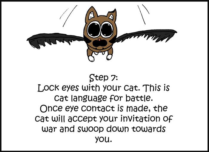 10-Step Guide Goes To Absurd Lengths Explaining How To Make A Cat Take A Pill, And It&#8217;s Hilarious